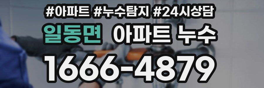 일동면 누수탐지