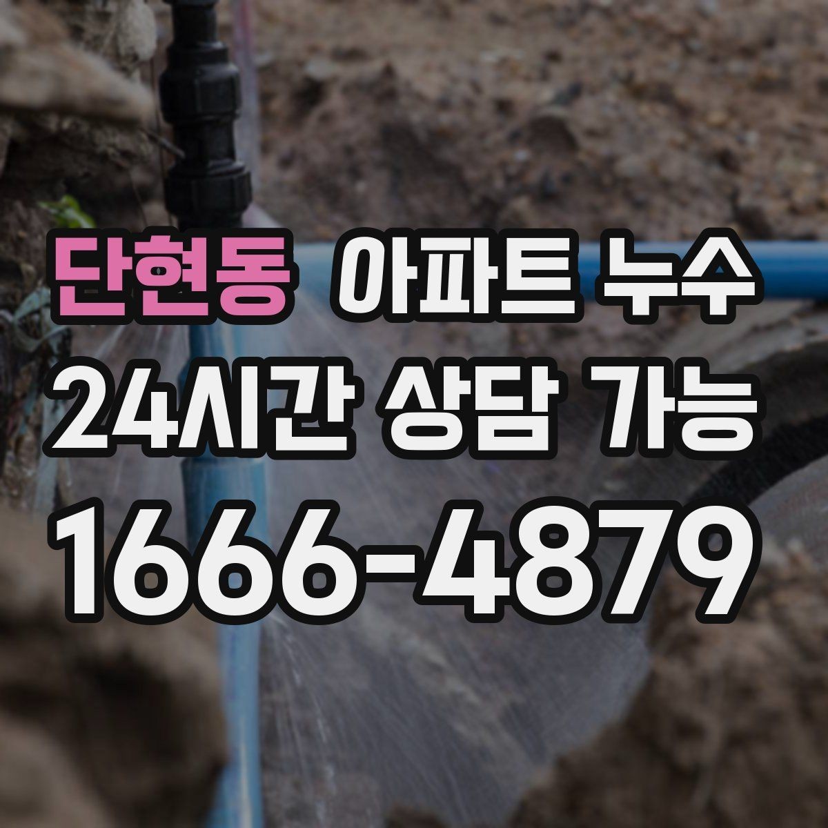 단현동 아파트 누수 주방 하부장 습기 보이면 정리 방법부터 정리
