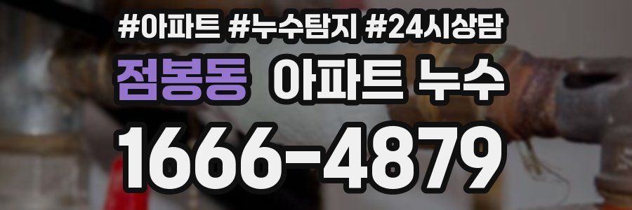 점봉동 누수탐지