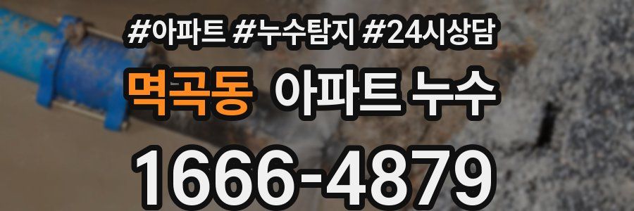 멱곡동 누수탐지