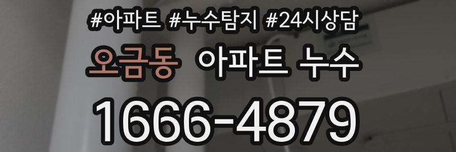 오금동 누수탐지