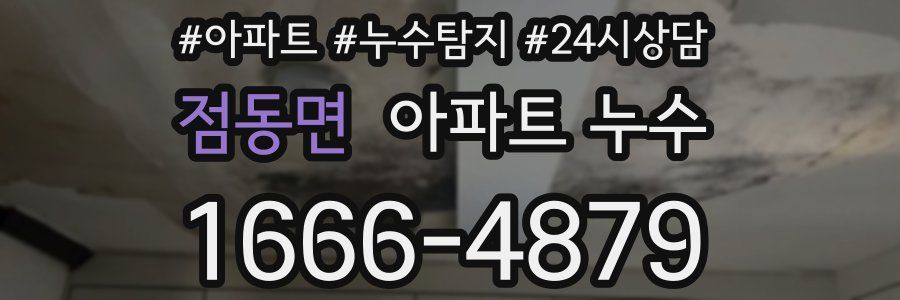 점동면 누수탐지