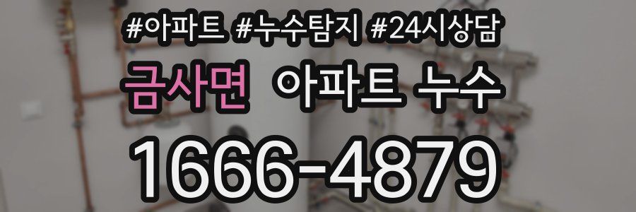 금사면 누수탐지