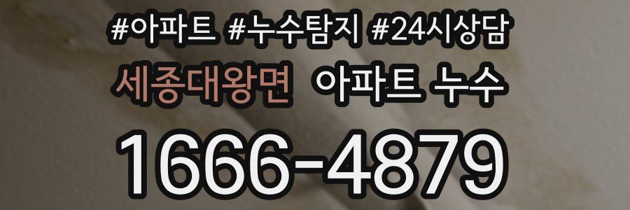 세종대왕면 누수탐지