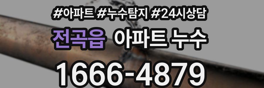 전곡읍 누수탐지