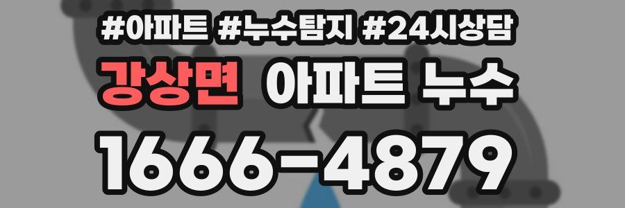 강상면 누수탐지