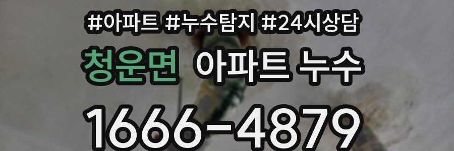 청운면 누수탐지