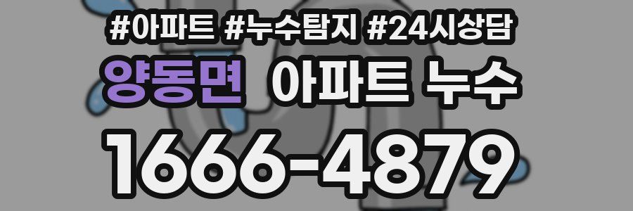 양동면 누수탐지