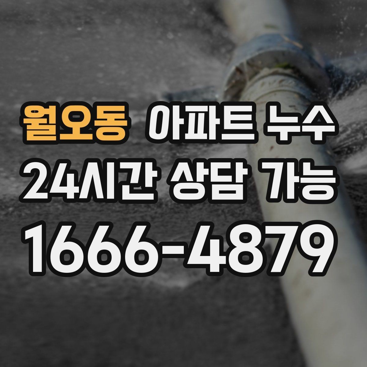 월오동 아파트 누수 물 사용을 줄였는데도 계속 젖을 때