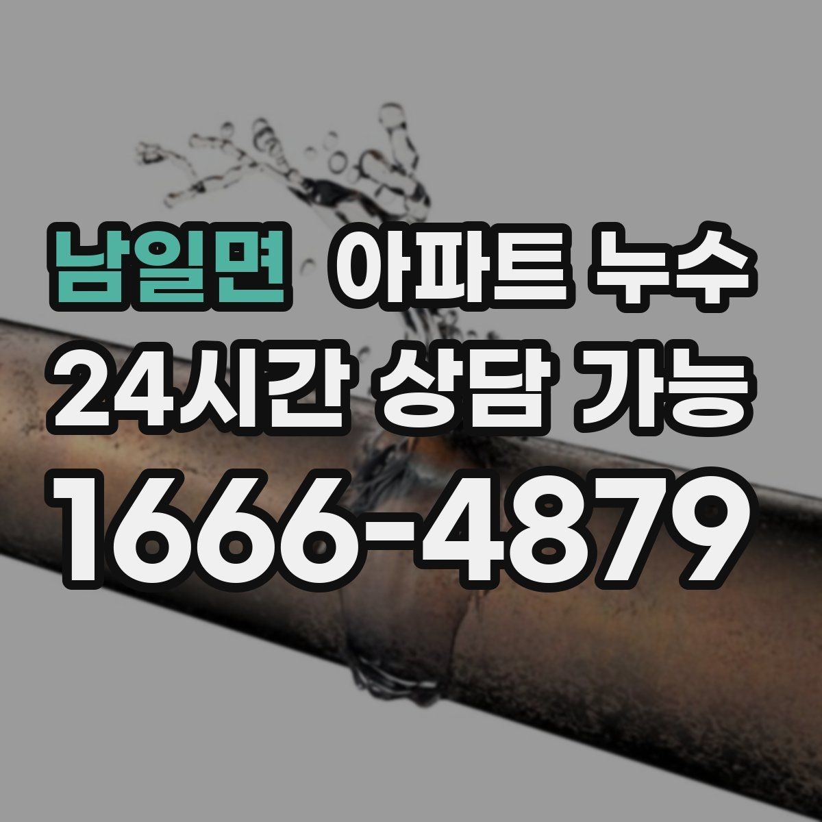 남일면 아파트 누수 냄새가 먼저 날 때 당황하지 않는 점검 순서 정리