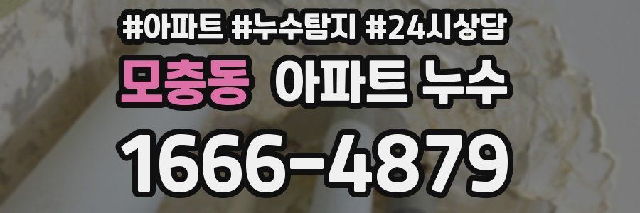 모충동 누수탐지