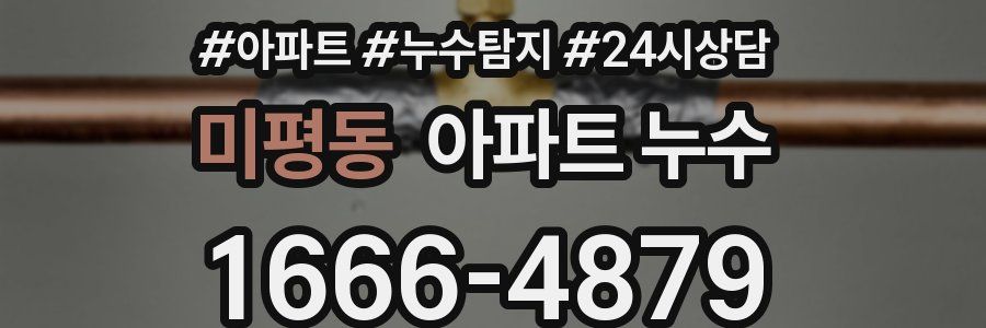 미평동 누수탐지