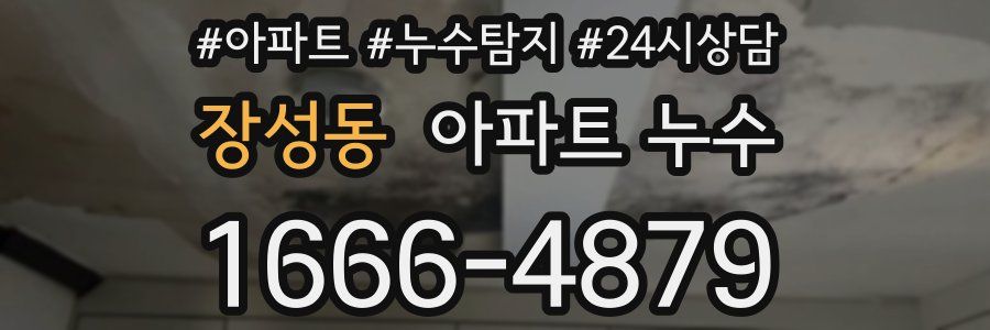 장성동 누수탐지