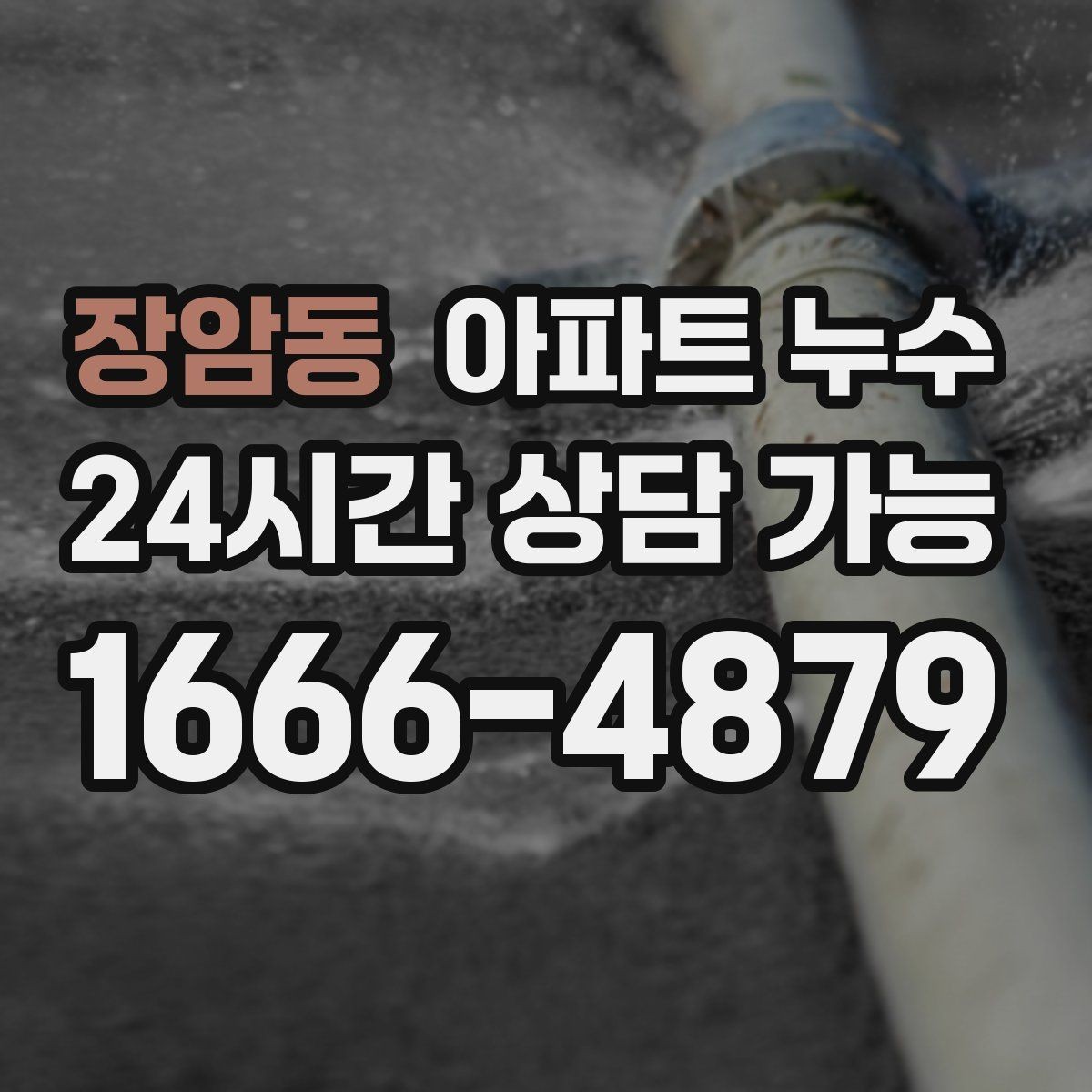 장암동 아파트 누수 신발장 주변 습기 보이면 대응 요령부터 정리