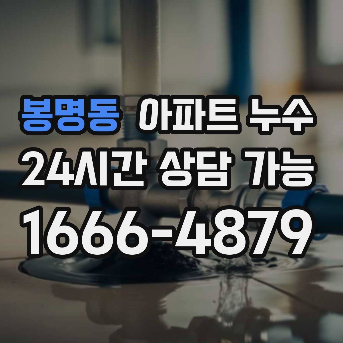 봉명동 아파트 누수 피해 범위 커지기 전 점검부터