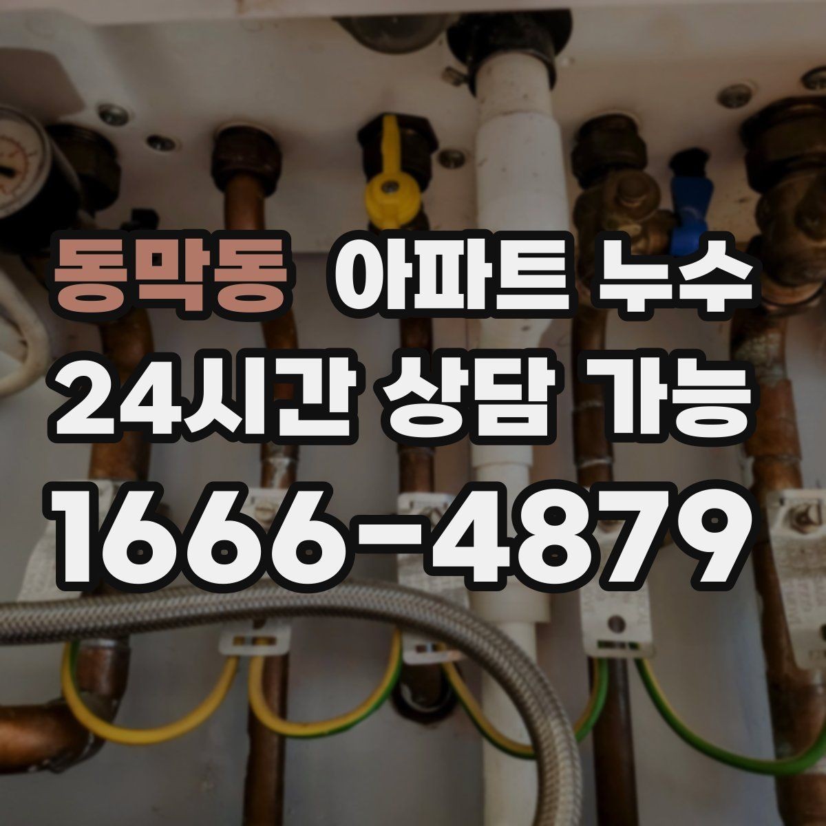 동막동 아파트 누수 물자국은 큰데 냄새가 약할 때