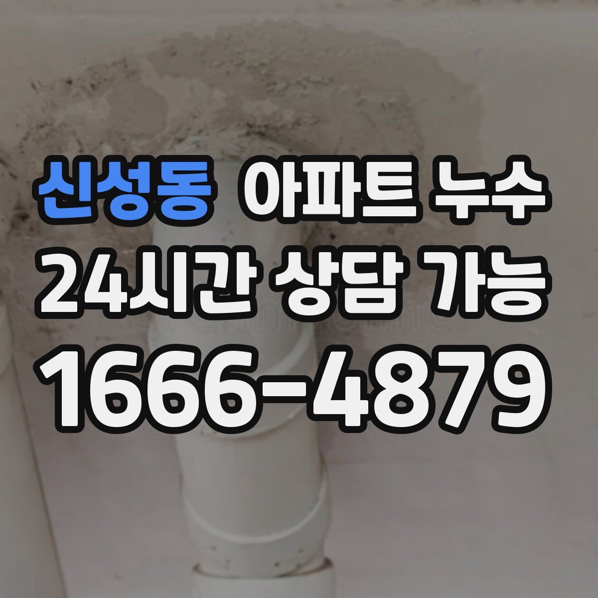 신성동 아파트 누수탐지