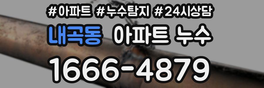 내곡동 누수탐지