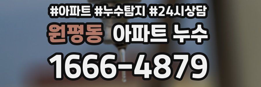 원평동 누수탐지