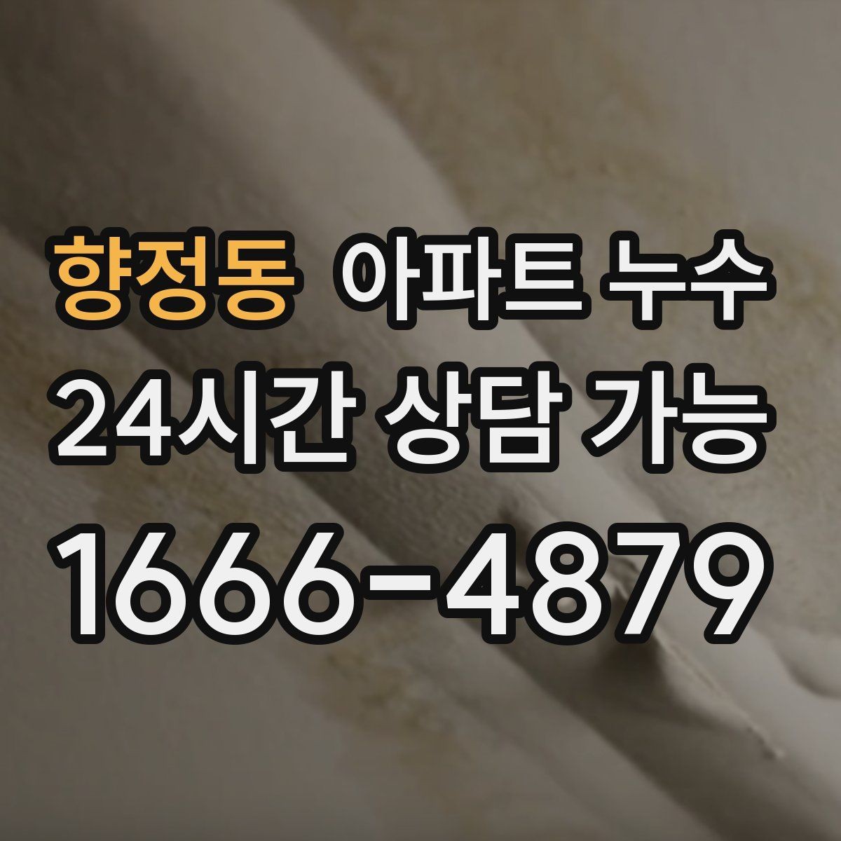 향정동 아파트 누수 곰팡이 생기기 전 실내 관리 요령