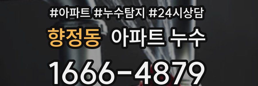 향정동 누수탐지