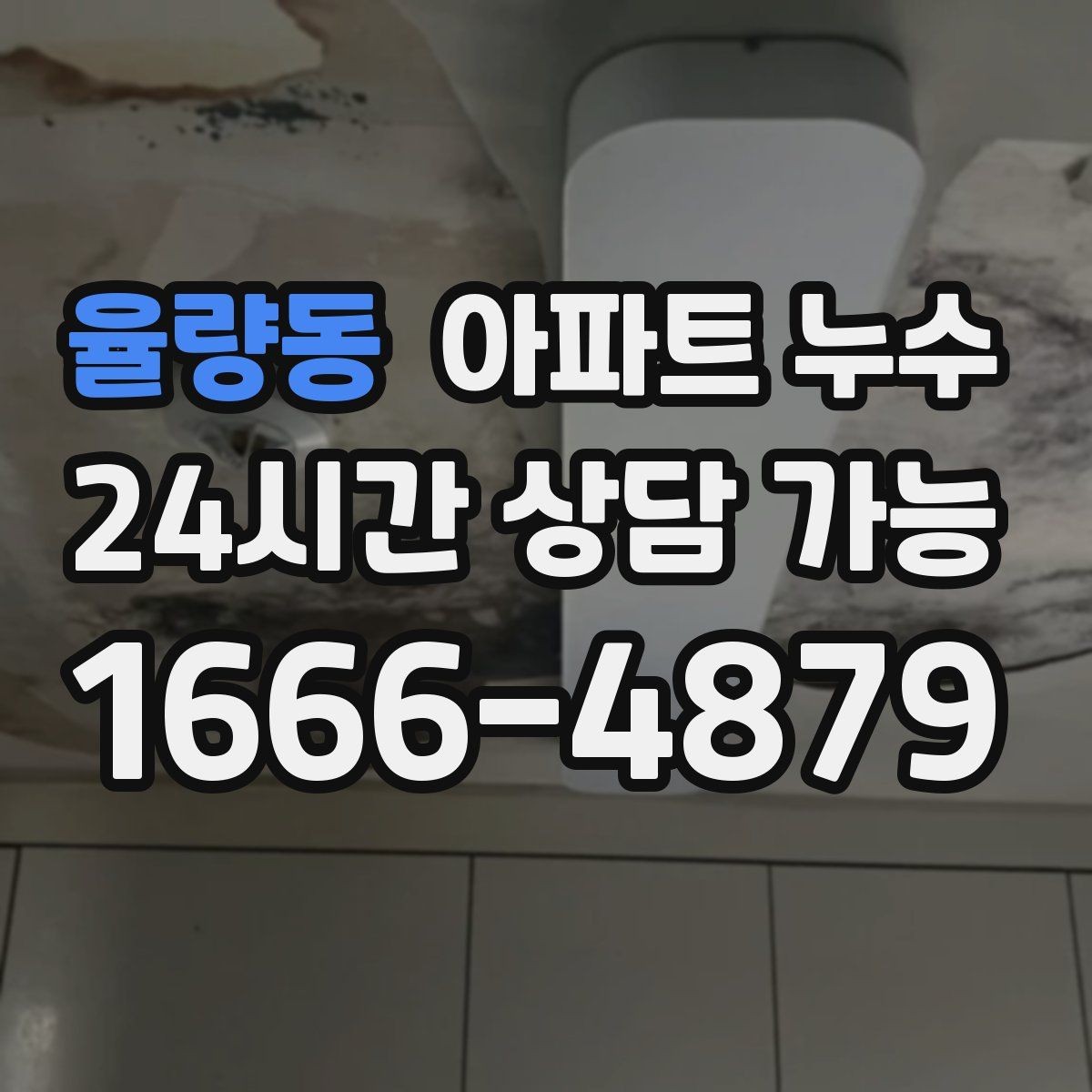 율량동 아파트 누수 시간대별로 달라지는 증상 해석