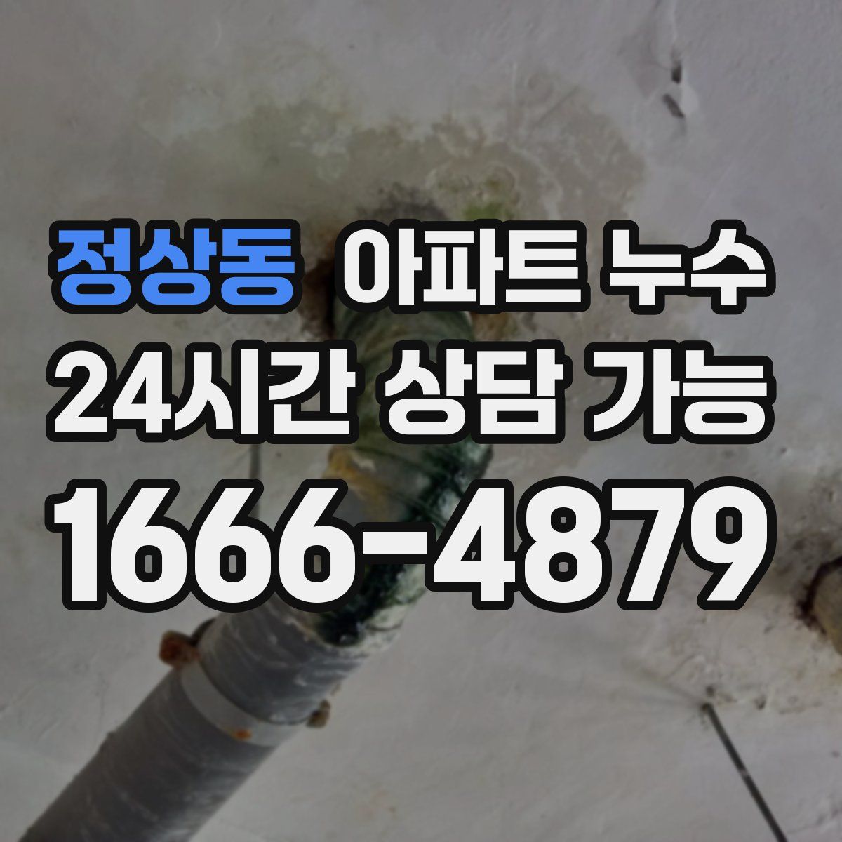 정상동 아파트 누수탐지