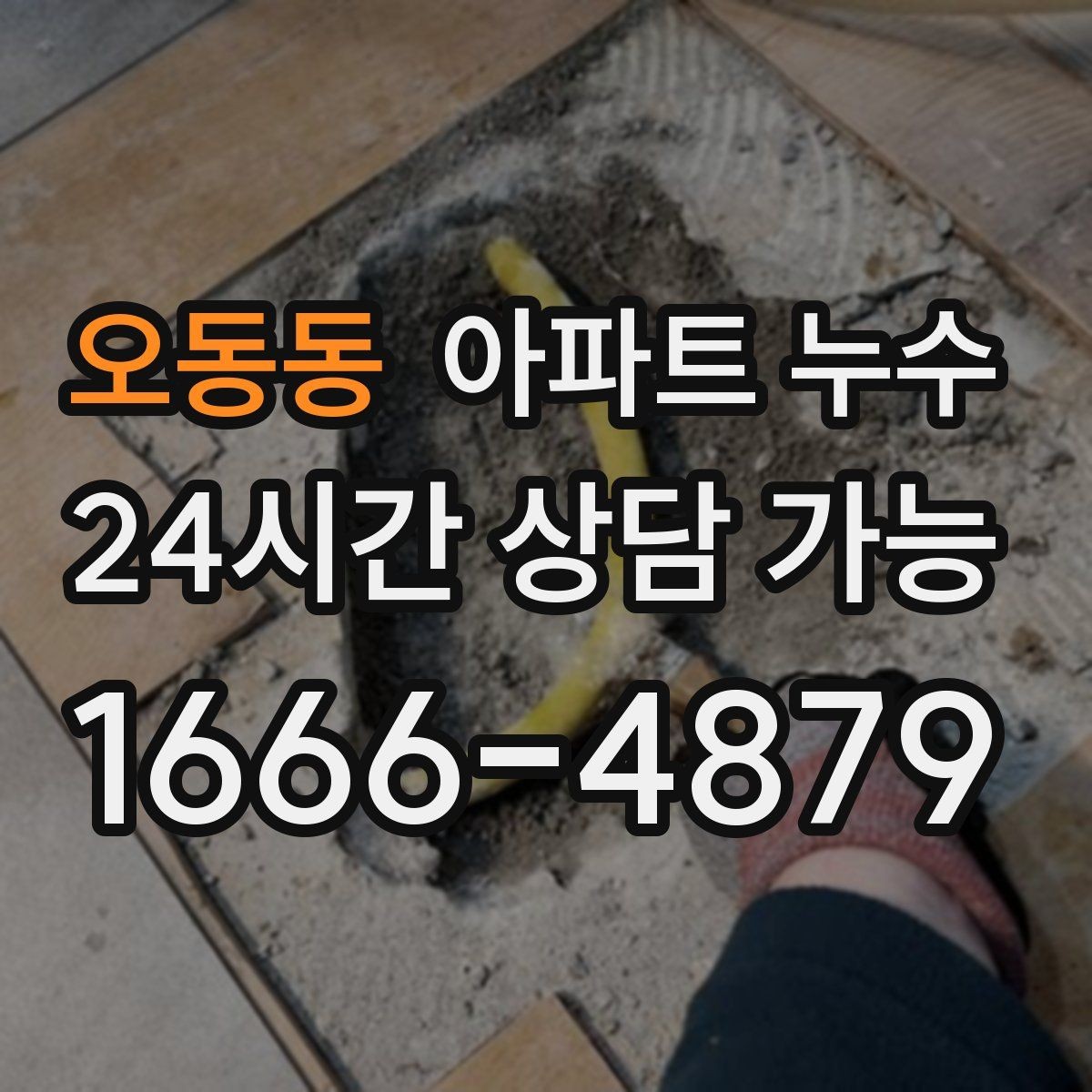 오동동 아파트 누수 벽지 끝선이 검게 변할 때