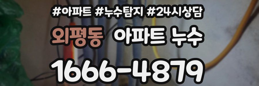 외평동 누수탐지