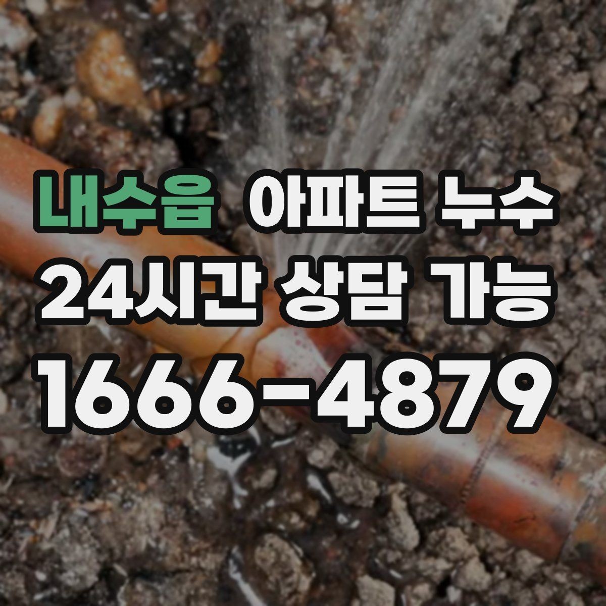 내수읍 아파트 누수 장마철 자주 보이는 패턴과 재발 방지