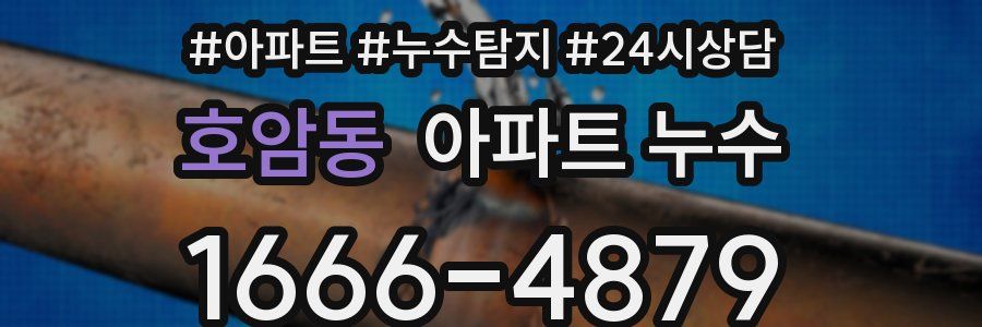 호암동 누수탐지