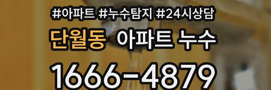 단월동 누수탐지