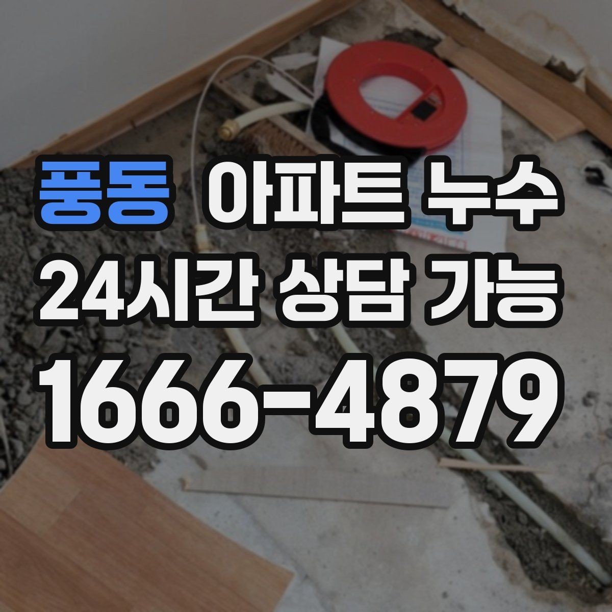 풍동 아파트 누수 곰팡이가 늘어날 때 원인 확인 한눈에