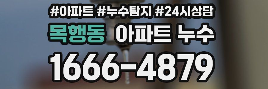 목행동 누수탐지