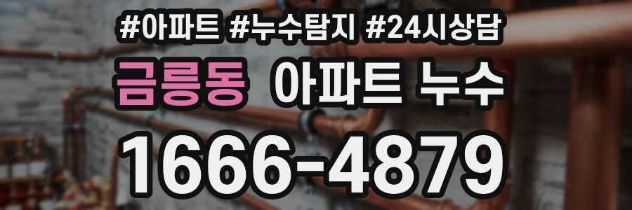 금릉동 누수탐지