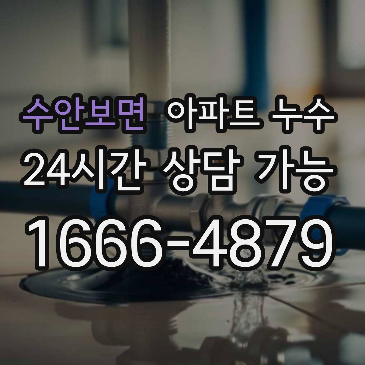 수안보면 아파트 누수 도배지 갈색 라인 보이면 현장 체크부터 정리