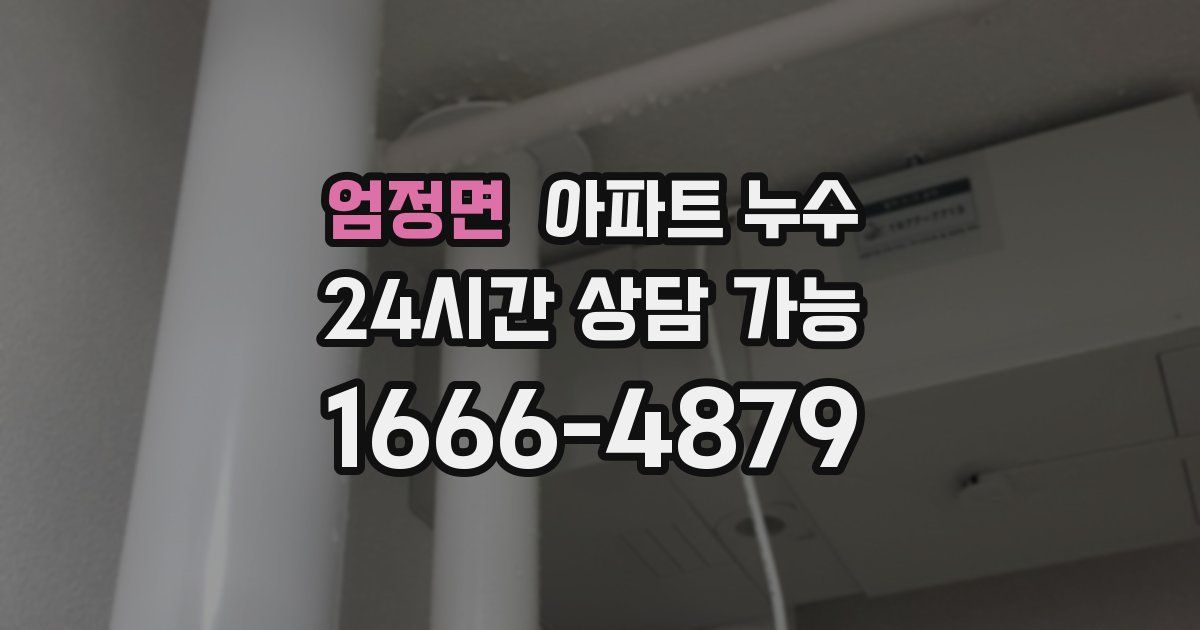 엄정면 아파트 누수