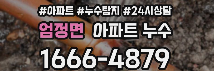 엄정면 누수탐지