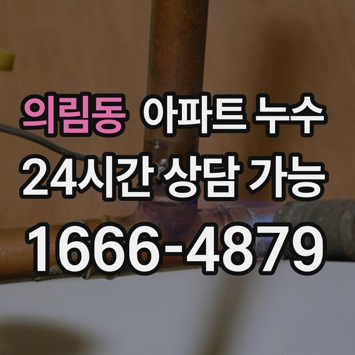의림동 아파트 누수 마르지 않는 습기의 진짜 원인 찾기