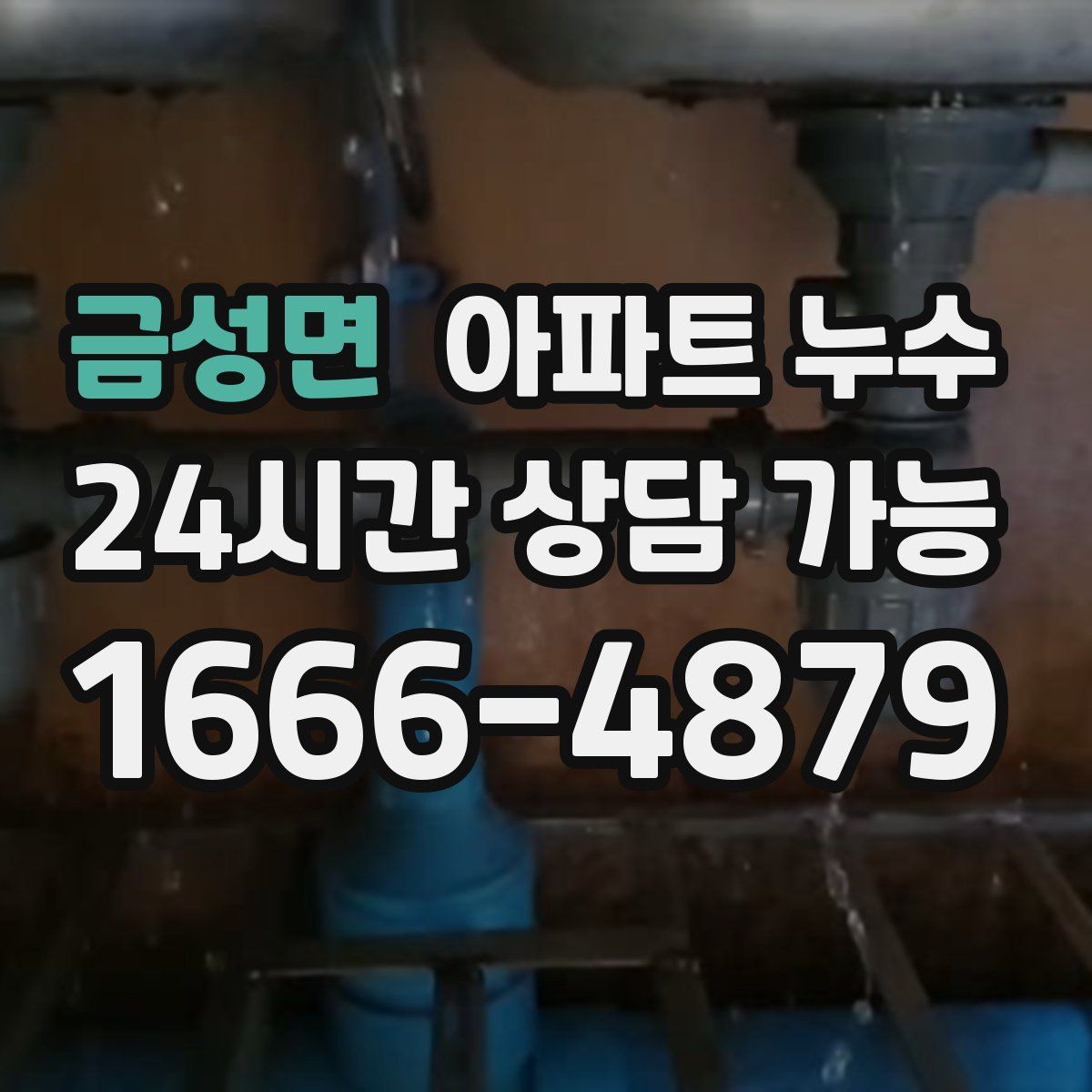 금성면 아파트 누수탐지