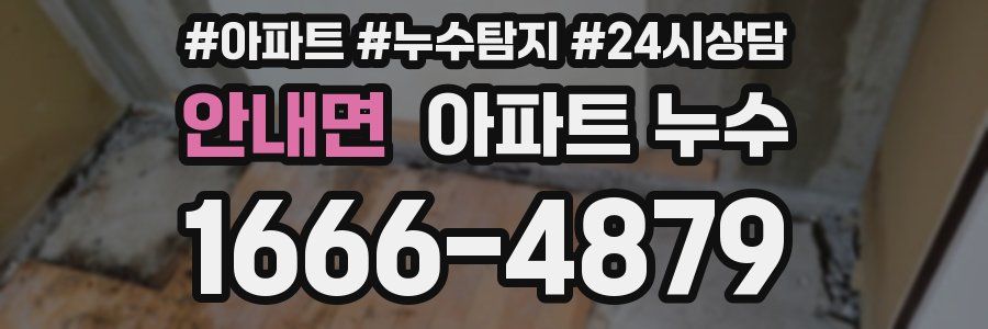 안내면 누수탐지