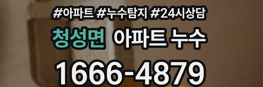 청성면 누수탐지