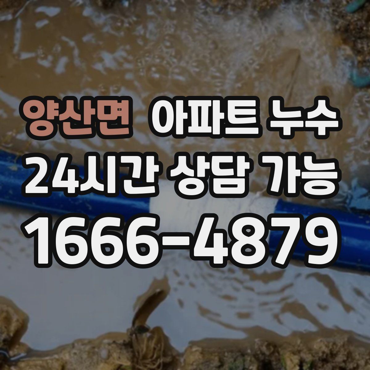 양산면 아파트 누수 물자국이 점점 커질 때 먼저 해야 할 재발 방지