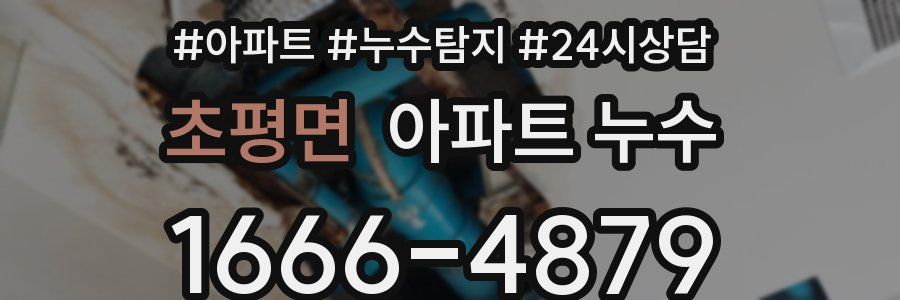 초평면 누수탐지