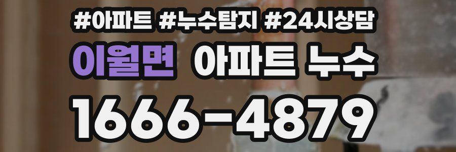 이월면 누수탐지