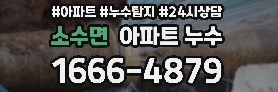 소수면 누수탐지