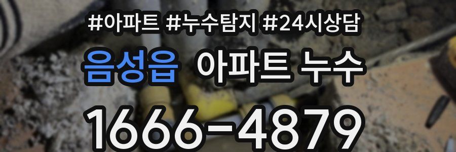 음성읍 누수탐지