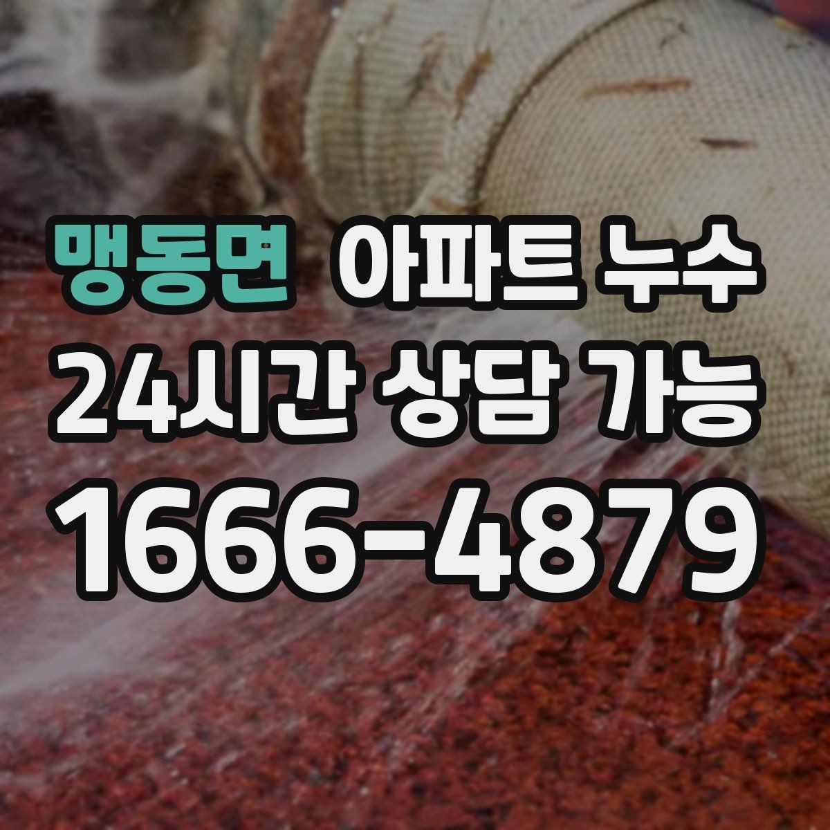 맹동면 아파트 누수 문틀 젖음 방치하면 커지는 이유와 재발 방지