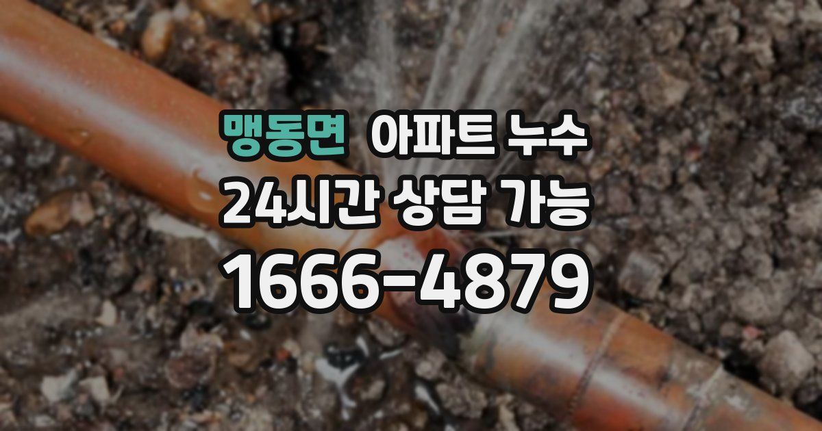 맹동면 아파트 누수