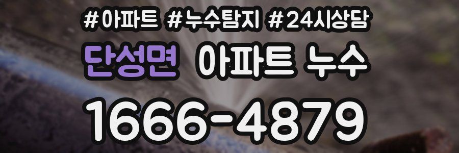 단성면 누수탐지